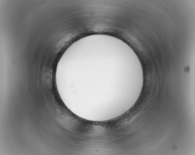 X0000090460592200707272238