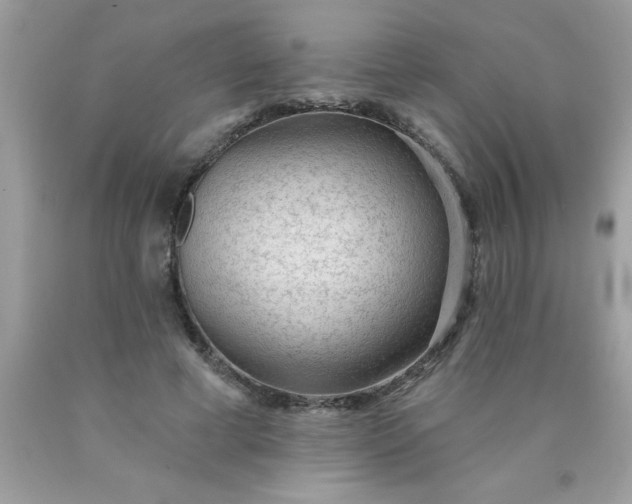X0000090460593200707272238