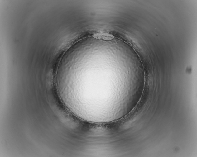 X0000090460594200707272238
