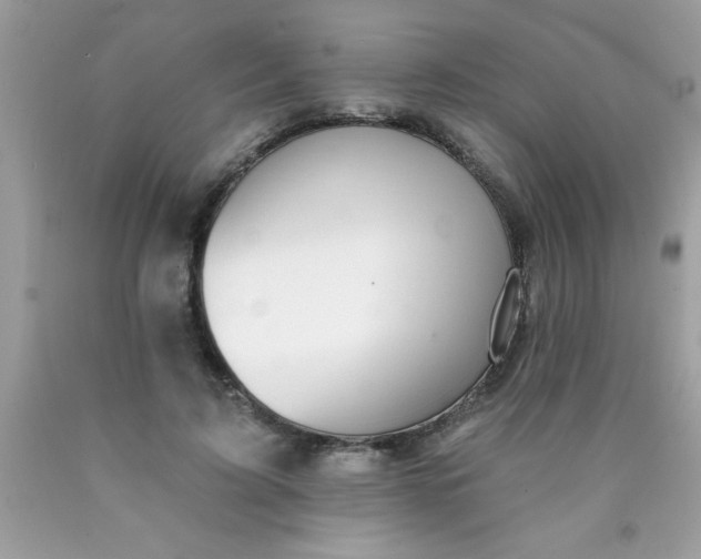 X0000090460595200707272238