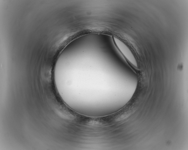 X0000090460596200707272238