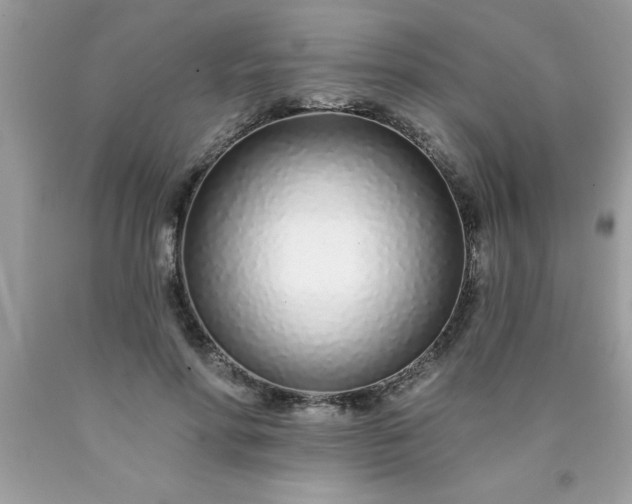 X0000090460598200707272238