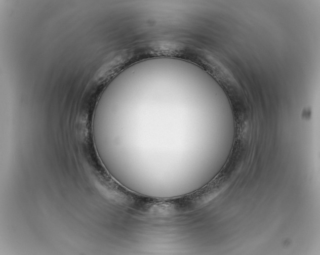 X0000090460599200707272238