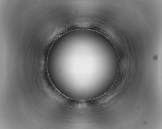 X0000090460600200707272238