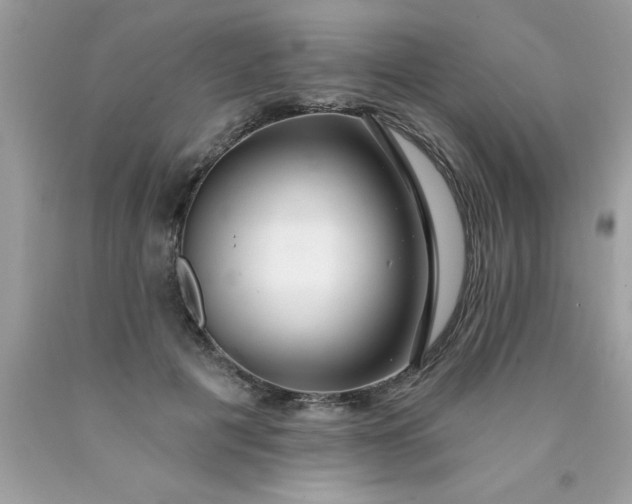 X0000090460601200707272238