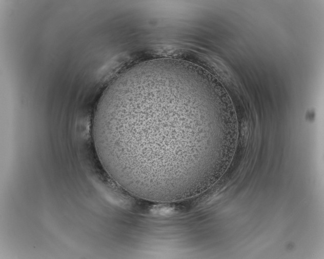 X0000090460602200707272238
