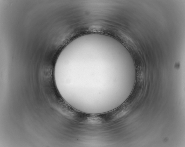 X0000090460603200707272238