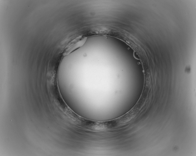 X0000090460604200707272238