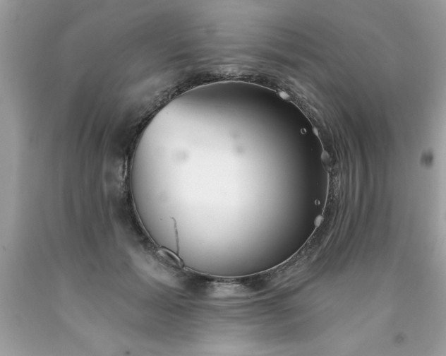 X0000090460605200707272238