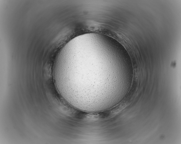 X0000090460606200707272238