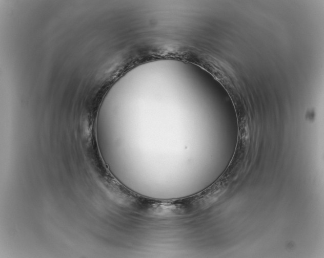 X0000090460607200707272238