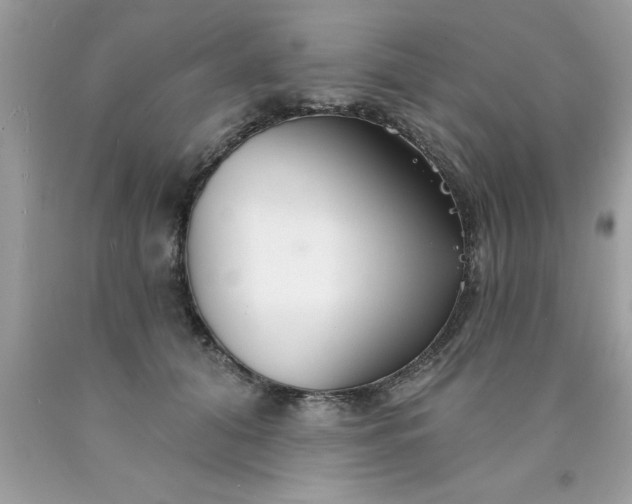 X0000090460608200707272238