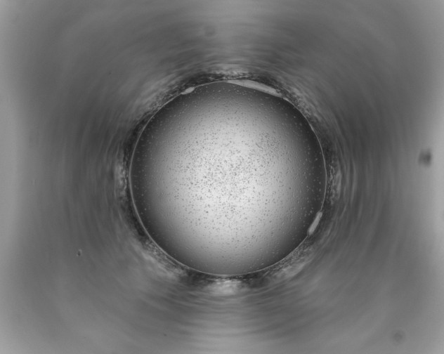 X0000090460609200707272238