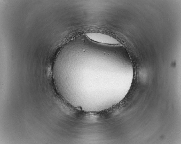 X0000090460610200707272238