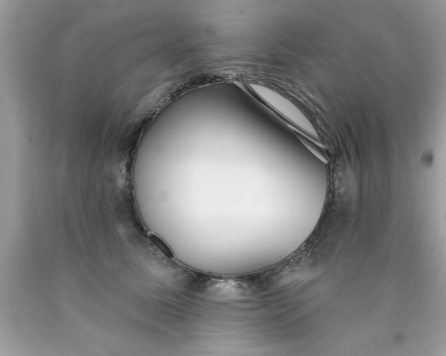 X0000090460611200707272238