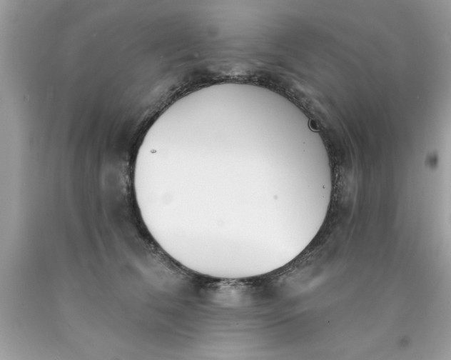 X0000090460612200707272238