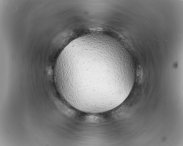 X0000090460614200707272238