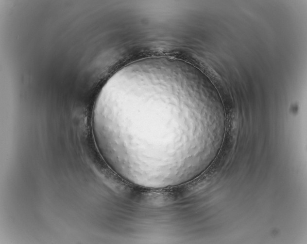 X0000090460615200707272238