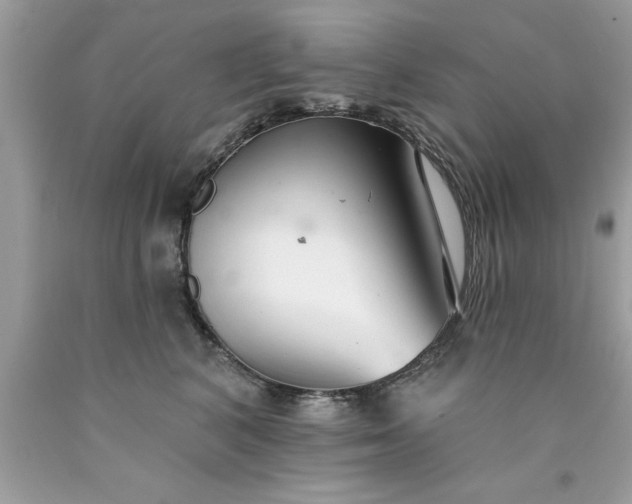 X0000090460616200707272238
