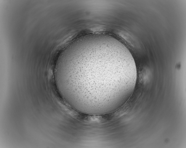 X0000090460618200707272238