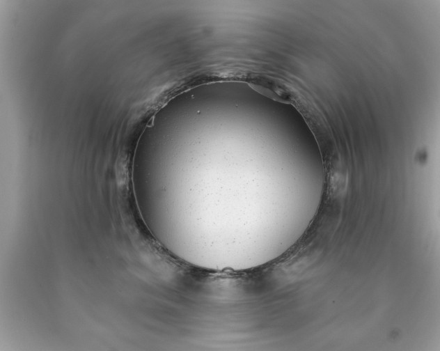 X0000090460620200707272238