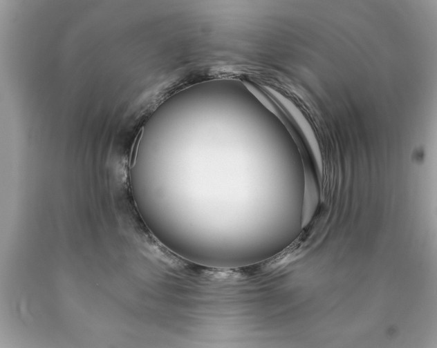 X0000090460621200707272238