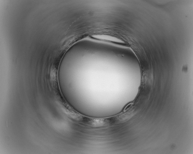 X0000090460623200707272238
