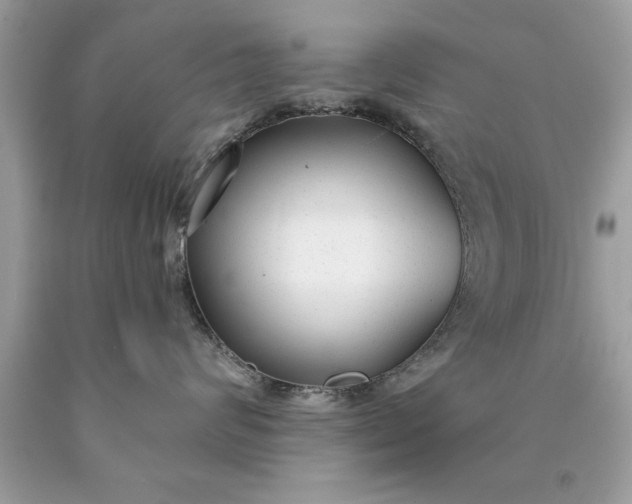 X0000090460624200707272238