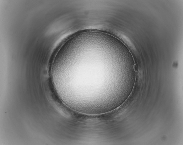X0000090460628200707272237