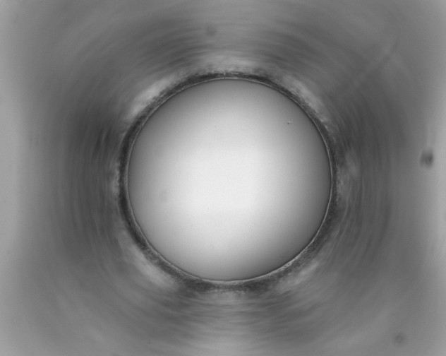 X0000090460629200707272237