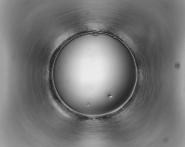 X0000090460630200707272237