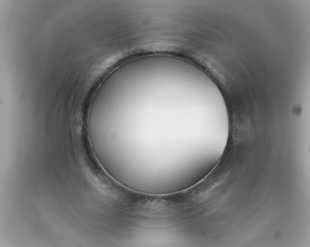 X0000090460631200707272237
