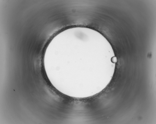 X0000090460632200707272237