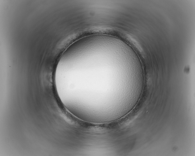 X0000090460633200707272237