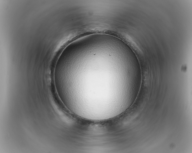 X0000090460634200707272237