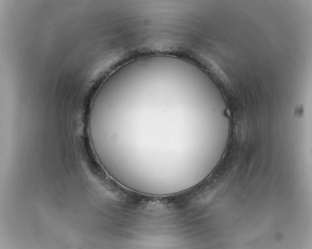 X0000090460635200707272237