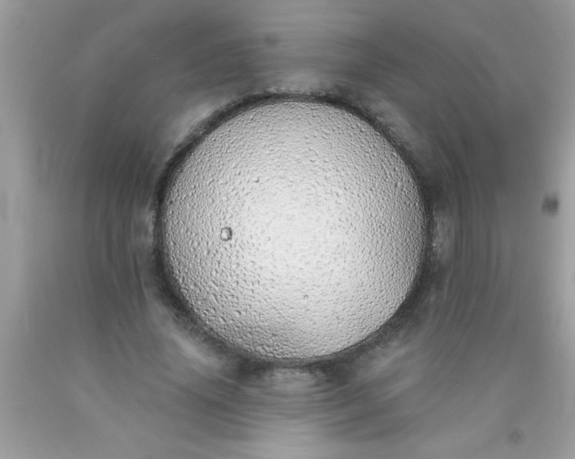 X0000090460636200707272237