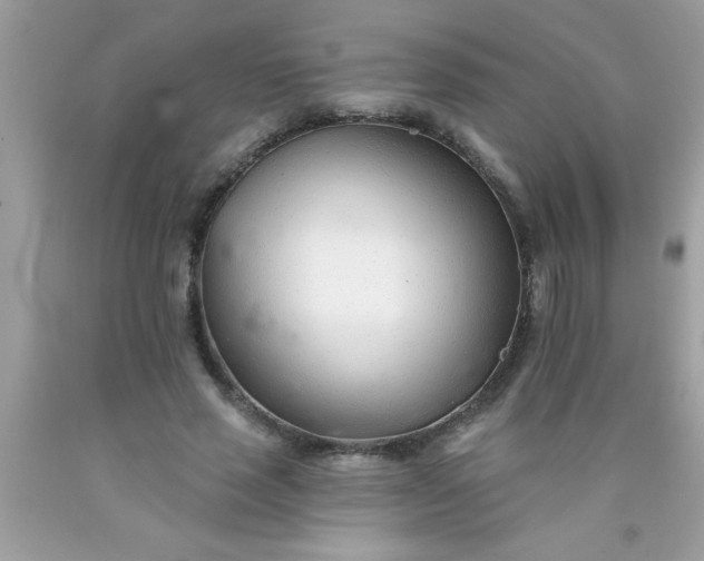 X0000090460637200707272237