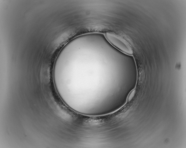 X0000090460638200707272237