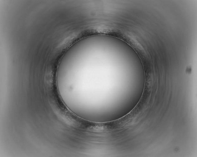 X0000090460639200707272237