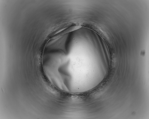 X0000090460641200707272237