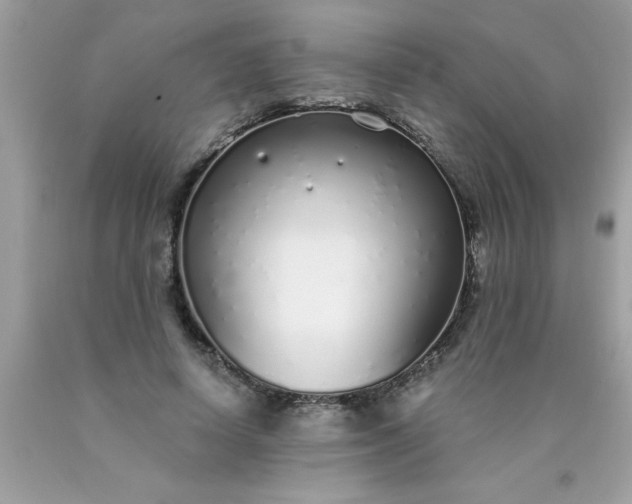 X0000090460642200707272237