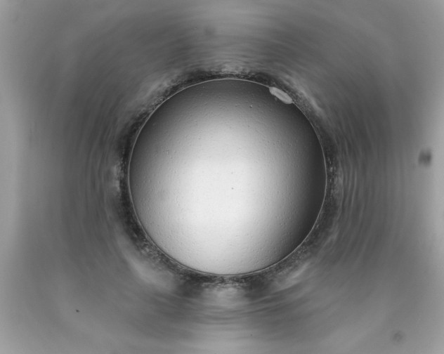 X0000090460643200707272237