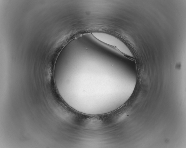 X0000090460644200707272238