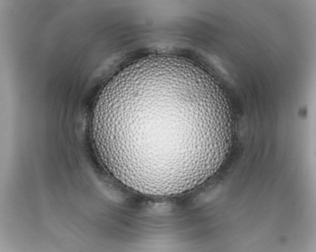 X0000090460645200707272238