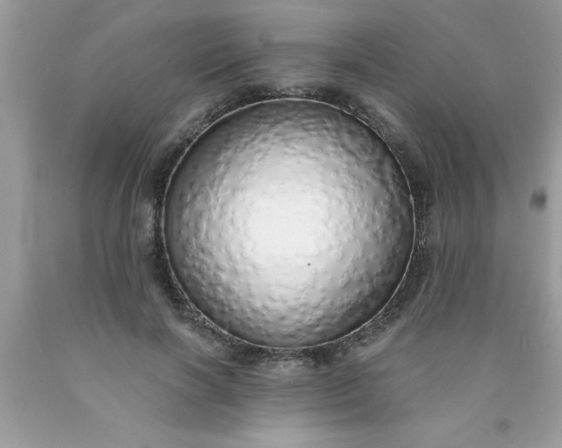 X0000090460646200707272238