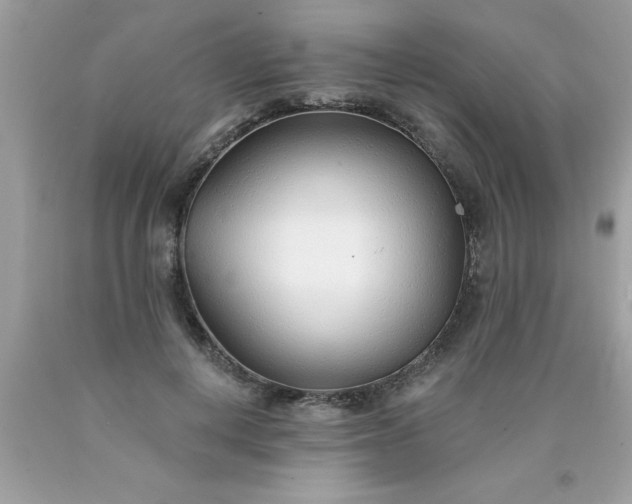 X0000090460648200707272238