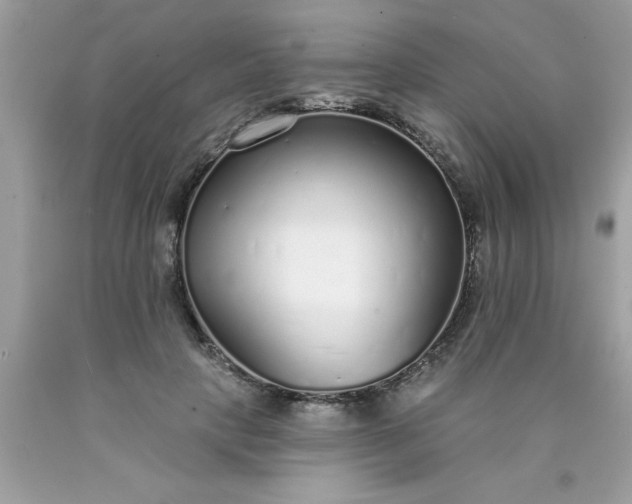 X0000090460649200707272238