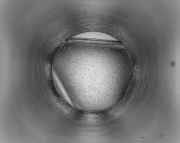 X0000090460650200707272238