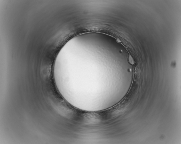 X0000090460652200707272238